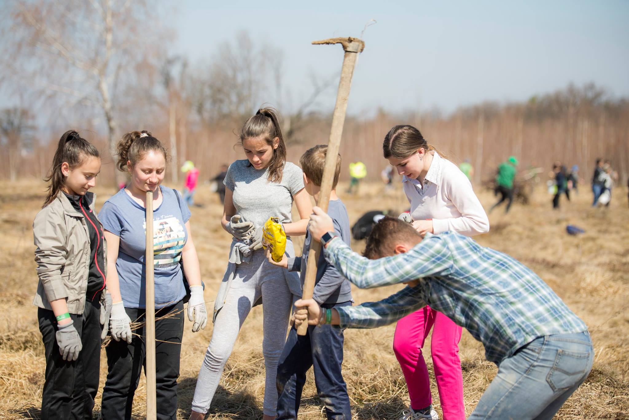 Arpasu Mars 2019 Preview 1